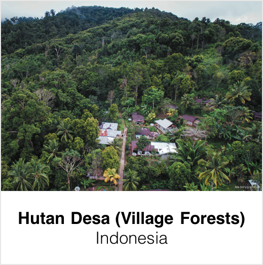 Hutan Desa (Village Forests)