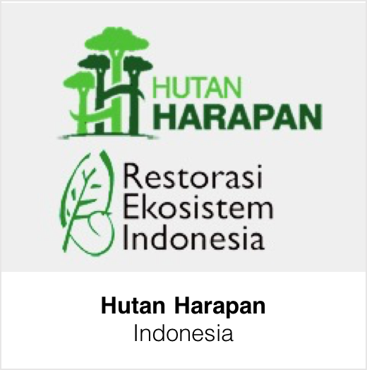 Hutan Harapan